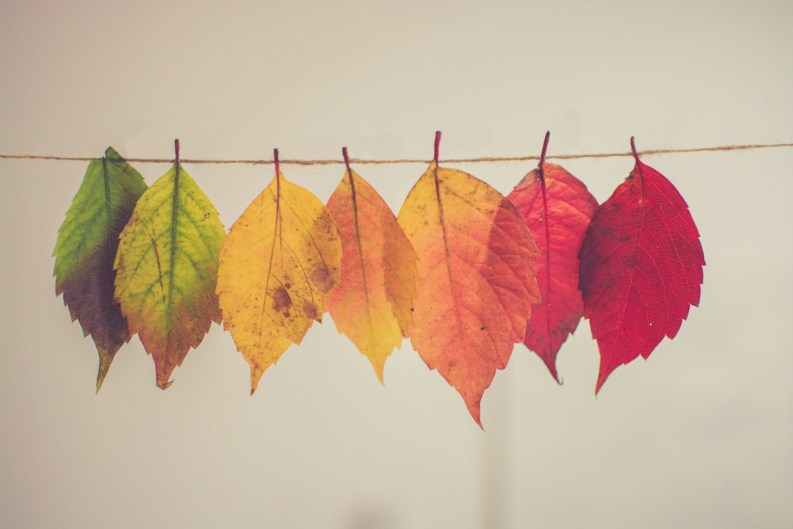 How You Can Create Positive Sustainable Change Through the Power of Organization