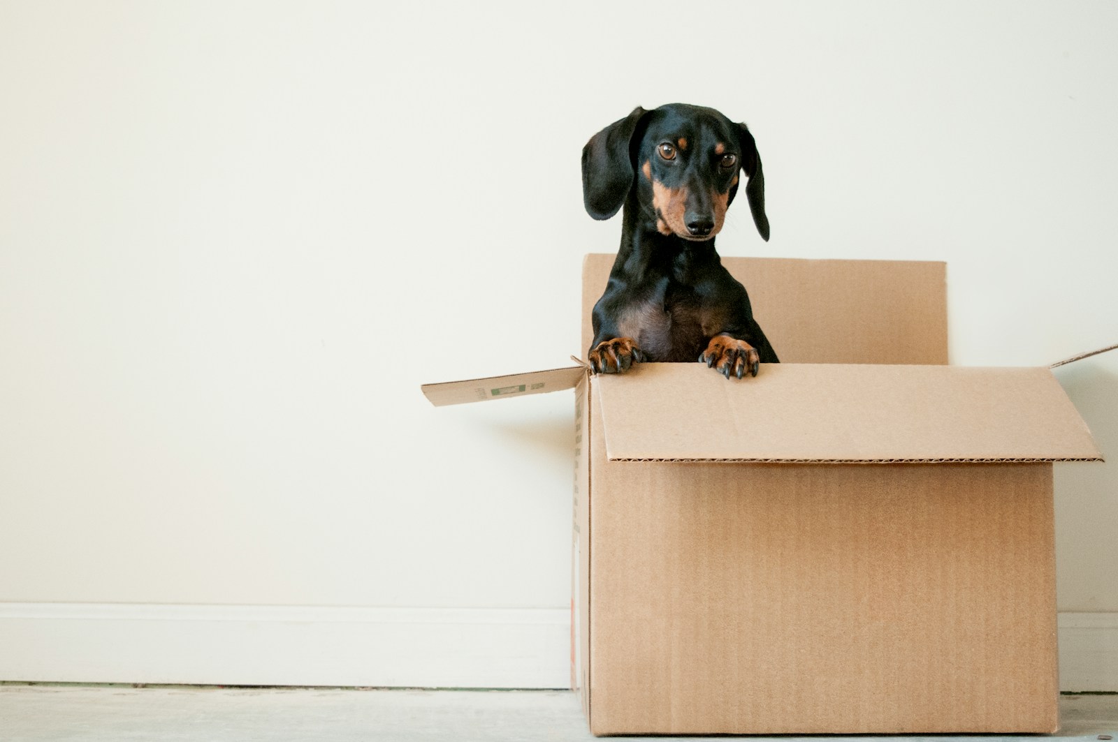 6 Worthy Reasons Why You Should Declutter Before Moving